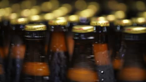 close up of many beer bottles on a shelf