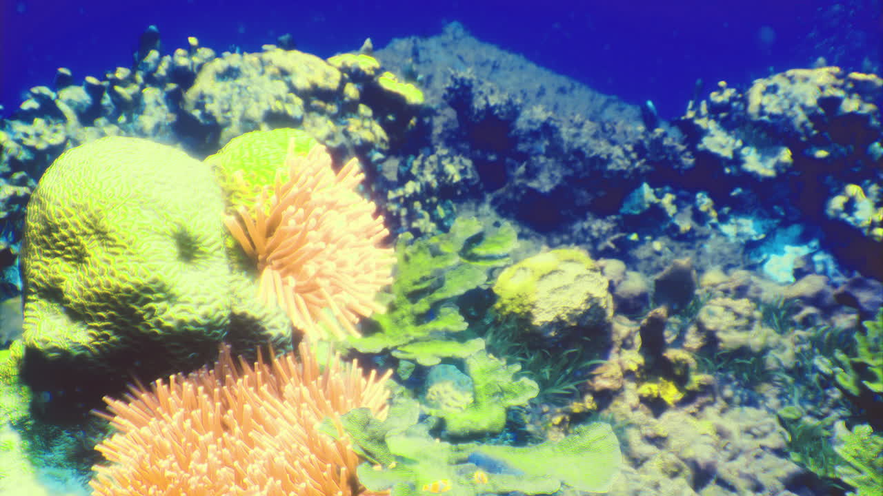 Colorful coral reef ecosystem with vibrant marine life at daytime