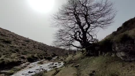 Nervion-riverbed-in-the-Basque-Country