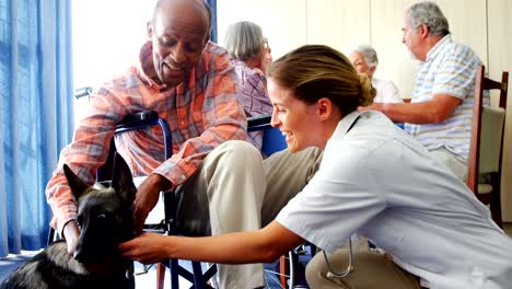 doctora y anciano discapacitado acariciando a un perro en un hogar de ancianos 4k