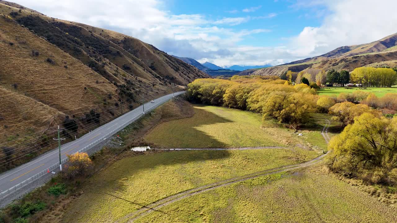 Drone glides above golden farmland, winding road, and autumn trees in Wanaka, New Zealand. Bright daylight, smooth camera movement, wide landscape view