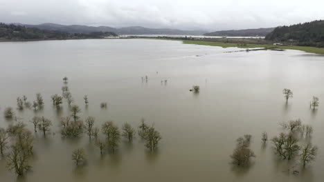 Vast-Flooded-Pasture-With-Trees-Submerged-On-Murky-Water-Near-Coquille-River-In-Coquille,-Oregon,-USA