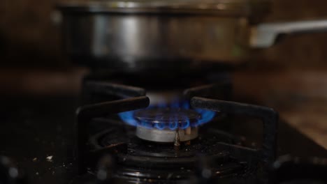 closeup shot of blue fire from domestic kitchen stove top. gas cooker with burning flames of propane gas. industrial resources and economy concept