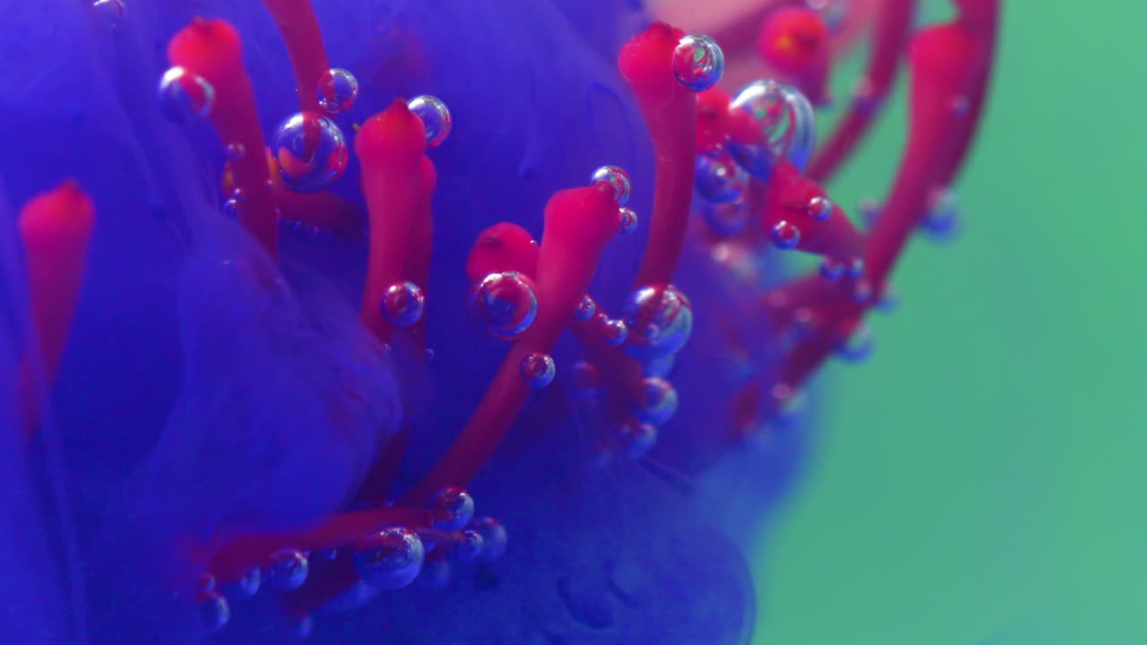 Macro Photography of a Flower with Bubbles and Ink