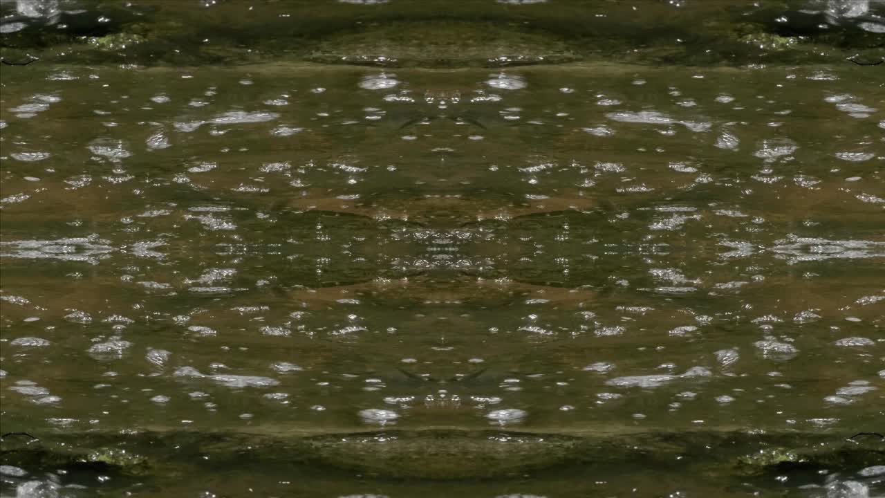 caleidoscopio de tomas de la naturaleza, wissahickon creek