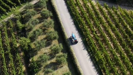 Aerial View of Vineyard and Farmland with Tractor