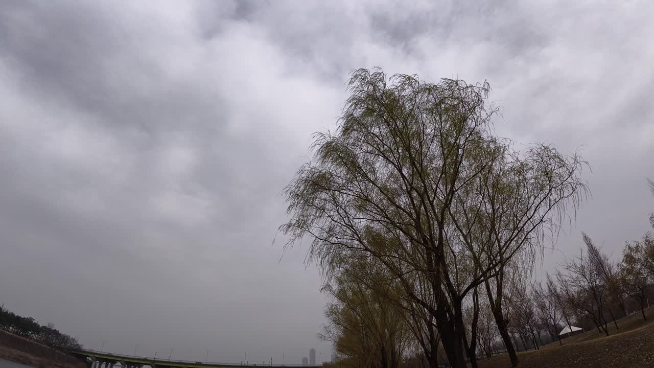 POV Walking In Yanghwa Hangang Riverside Park In Seoul, South Korea