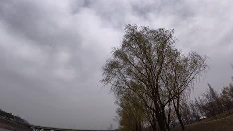 pov walking in yanghwa hangang riverside park in seoul, south korea