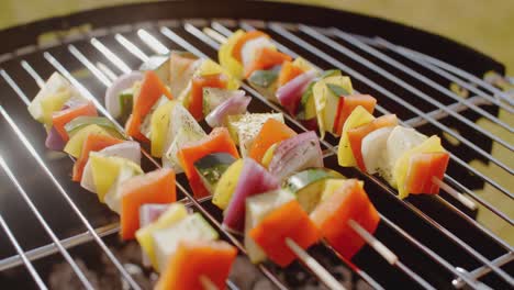 Healthy-colorful-kebabs-with-fresh-vegetables