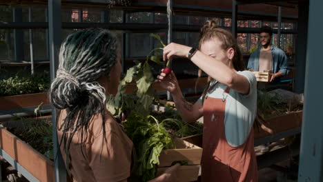 people in a greenhouse