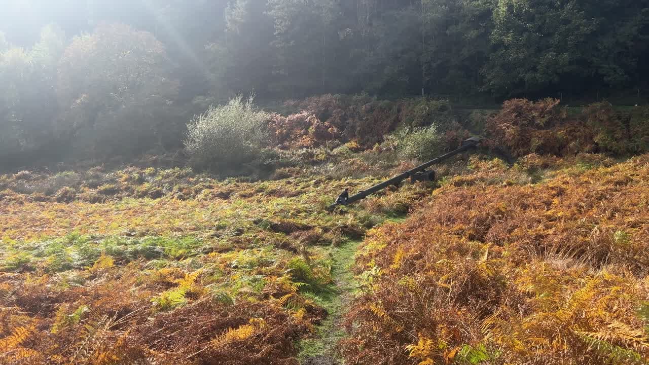 niño jugando solo en una tubería de agua en una escena campestre boscosa con helechos dorados de otoño y el resplandor de la luz del sol que entra desde la izquierda