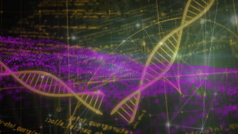 Animación-De-Cadenas-De-ADN-Y-Ecuaciones-Matemáticas-Sobre-Visualización-De-Datos-Científicos