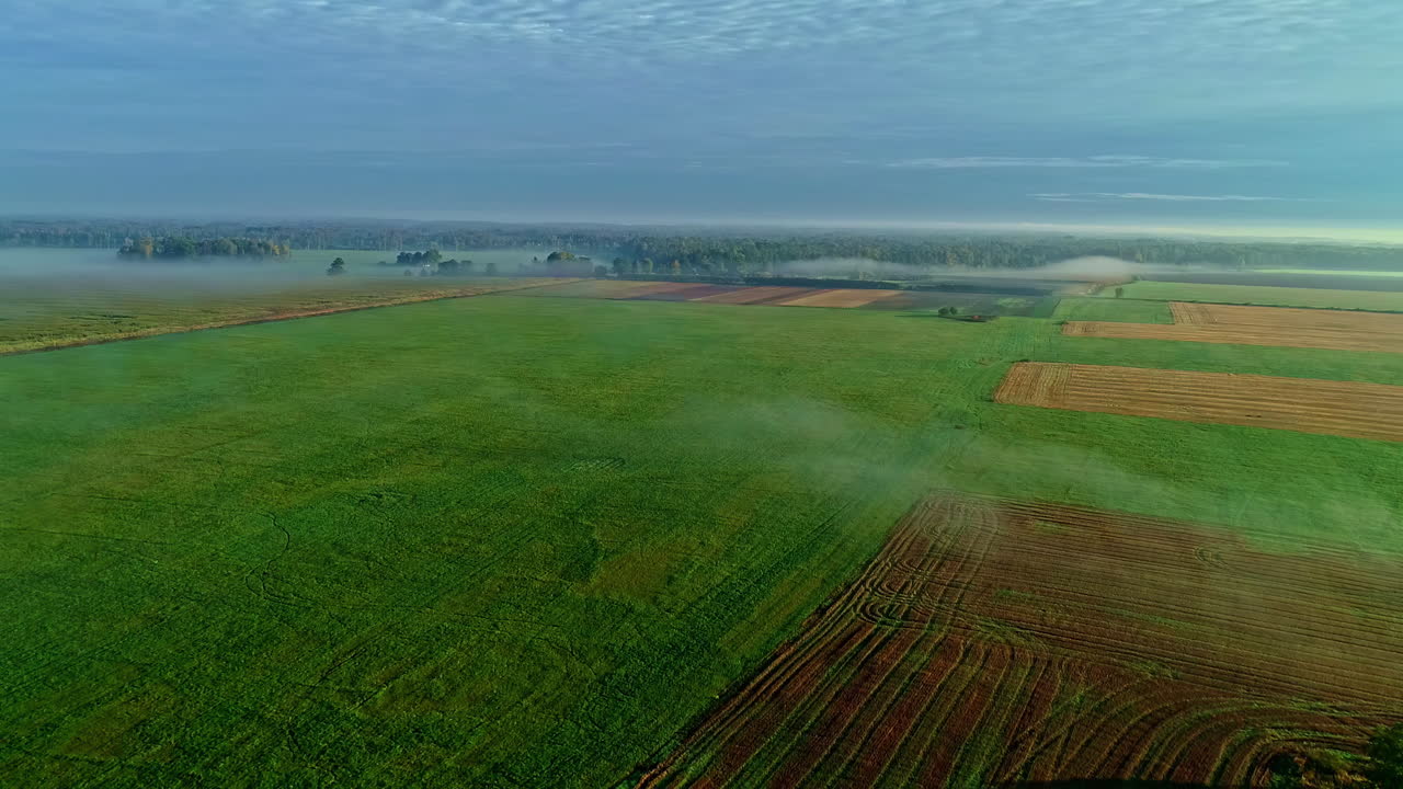 안개가 자욱한 자연 그대로의 농업 분야의 조감도