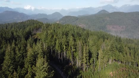 bear mountain park - misión columbia británica - miracle valley - imágenes de drones 1080p - en dirección oeste
