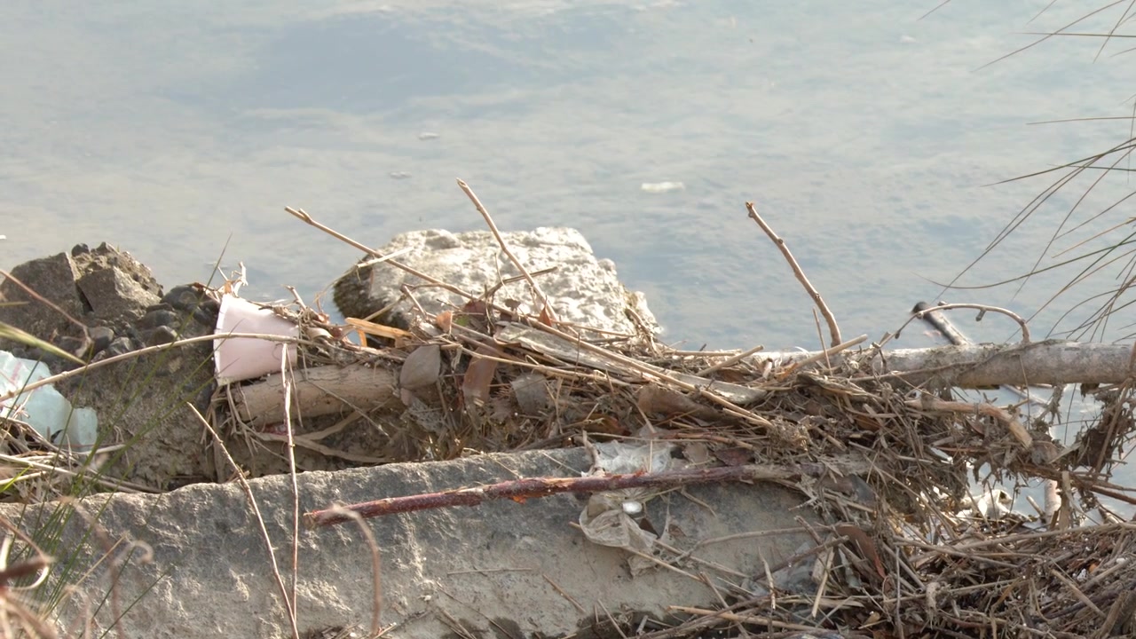 Static shot of plastic litter and organic debris trapped against a concrete river shoreline.