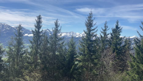 droneshot of austrian alps with trees and forest in foregrownd moving