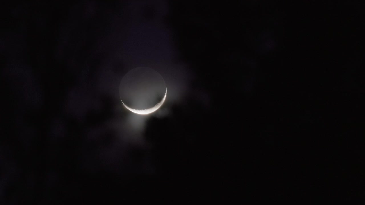 Um close-up da lua, que aparece como um crescente muito nítido, movendo-se pelo céu noturno atrás de uma árvore. Os contornos das folhas são definidos pela silhueta do céu noturno.