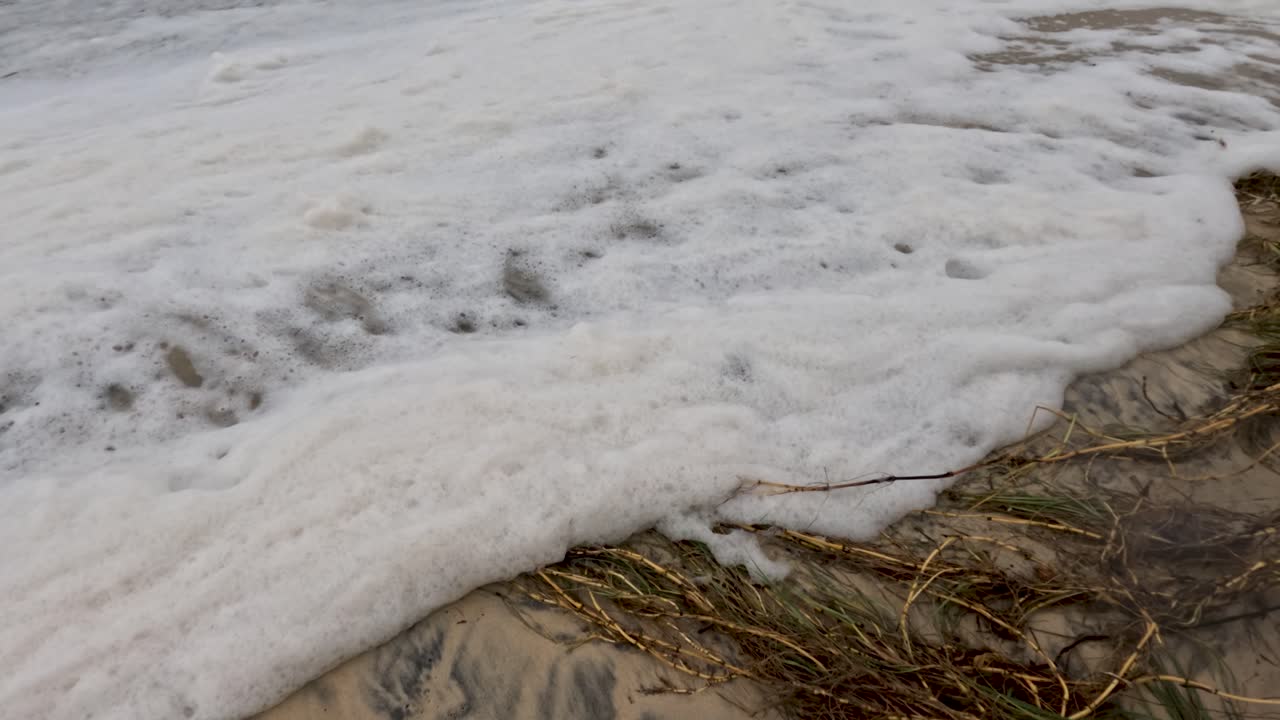 las olas chocan contra una playa, creando espuma y revelando la erosión. la escena captura el movimiento dinámico del agua y el impacto ambiental