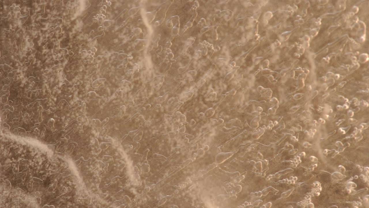 Layer upon layer of delicate icy details held my eye,  demanding to be filmed. I complied   -  For more, search  "AbstractVideoClip" using thequotation marks.