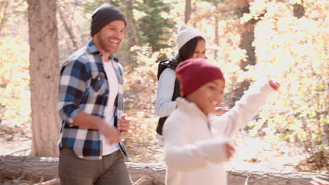 energetic family running in forest, side view close up