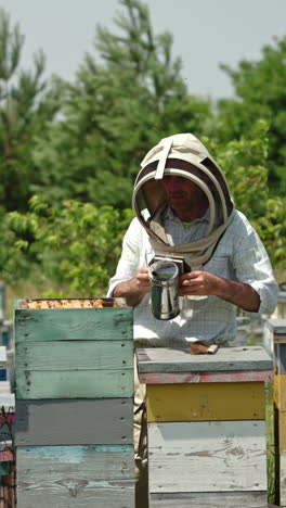 uniformed man in protective hat examines bee hive at his farm. man uses smoker to scare off the bees. sunny day nature backdrop. vertical video
