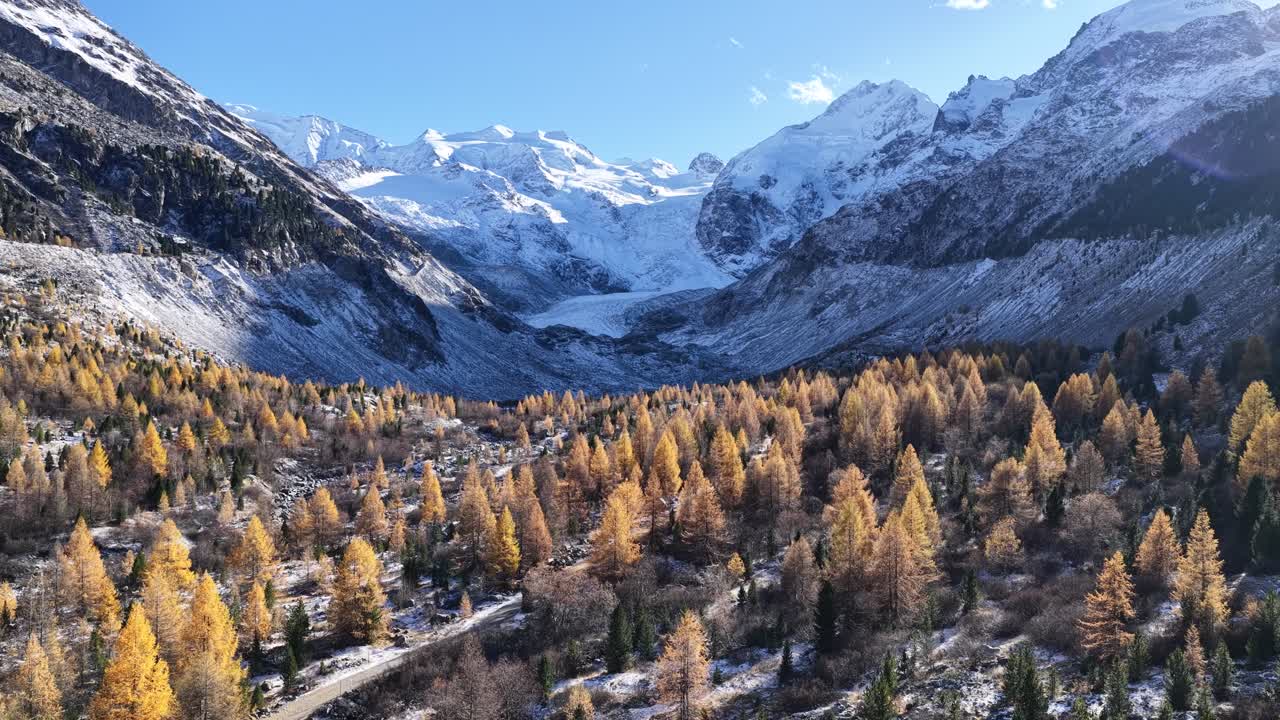 Vista aerea di una foresta autunnale dorata e delle Alpi svizzere innevate sotto la calda luce pomeridiana nella valle dell'Engadina