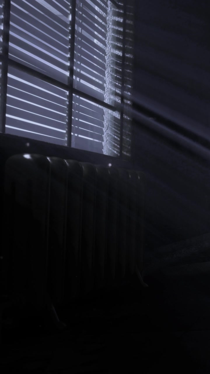 Light beams through slatted window blinds onto a dark room floor