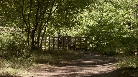 Couple-strolls-across-woodland-bridge