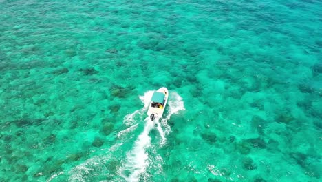 White-speed-boat-sailing-on-clear-turquoise-sea-surface