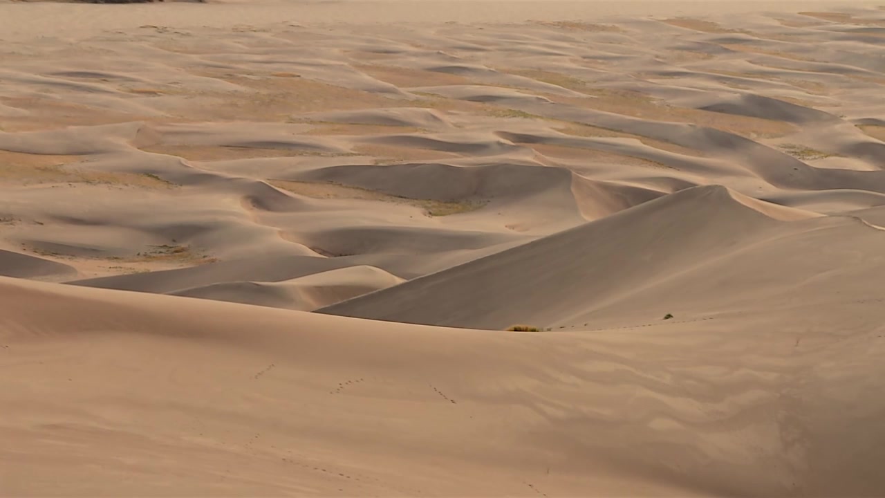 Dune di sabbia giganti sulla penisola di Northland in Nuova Zelanda. Primo piano