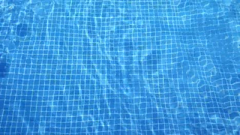 swimming pool 05