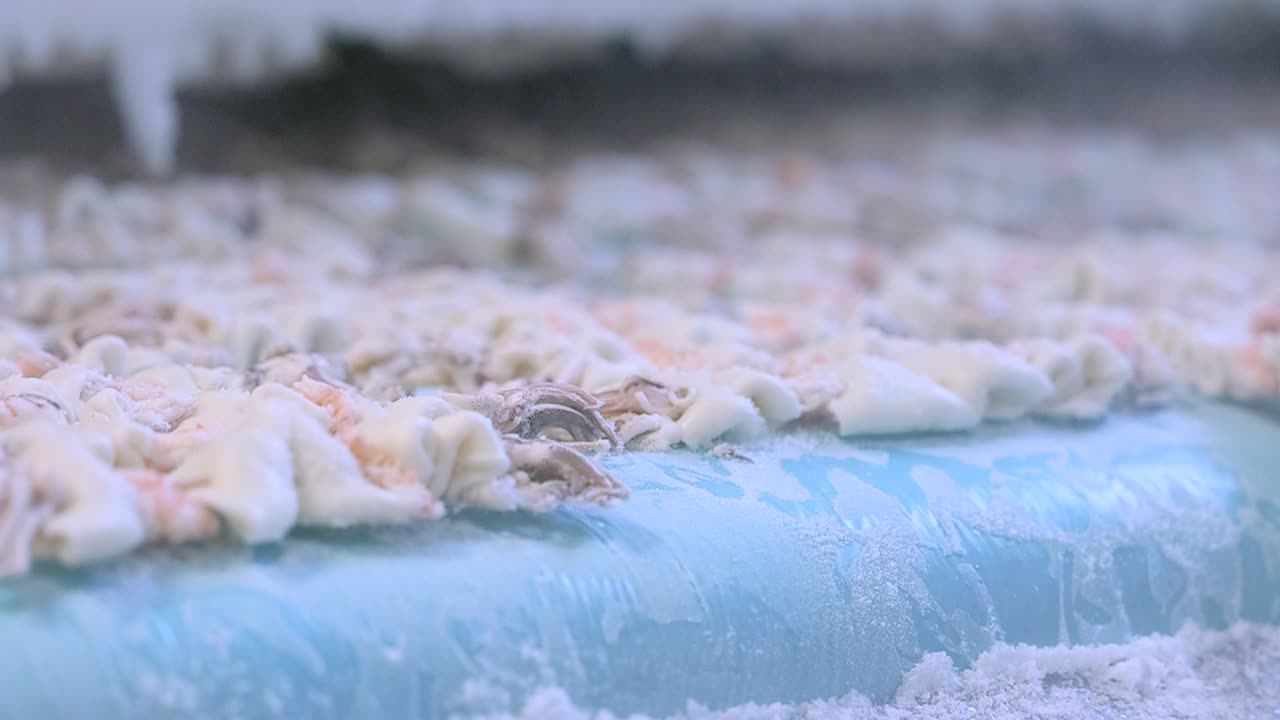 조개와 오징어  ⁇ 어리는 운송을 위해 준비되어 있습니다.