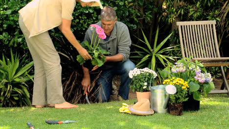 Couple-planting-flowers