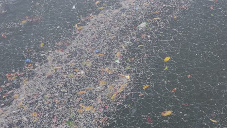 floating debris and pollution on water surface