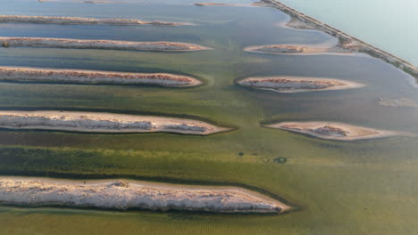 aerial view of beautiful marshlands in cadiz, spain.