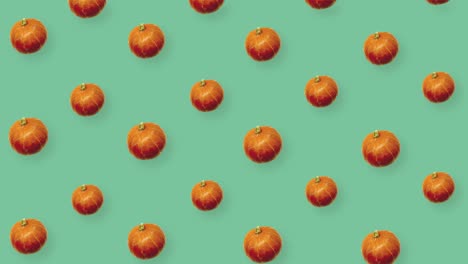 patrón colorido de calabazas naranjas frescas en fondo verde. patrón sin costuras con calabaza. animación realista. movimiento de video 4k