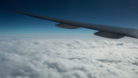plane view 05