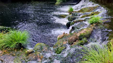 small rapids with clear water under bridge in peaceful woods galicia spain