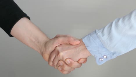 man and woman shaking hands, business deal agreement, close-up