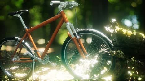 Mountain-bike-on-the-forest-path