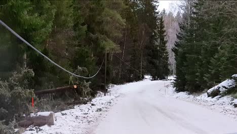 Líneas-Eléctricas-Aún-No-Enterradas,-Video-Que-Muestra-Los-Problemas-Que-Una-Tormenta-De-Invierno-Ha-Causado-A-Los-Cables-Eléctricos