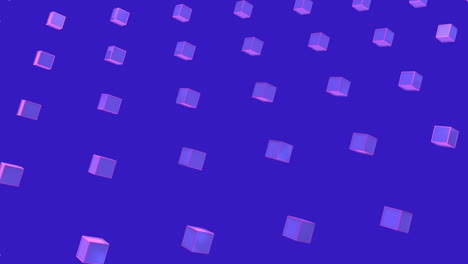 animation of purple squares in purple background