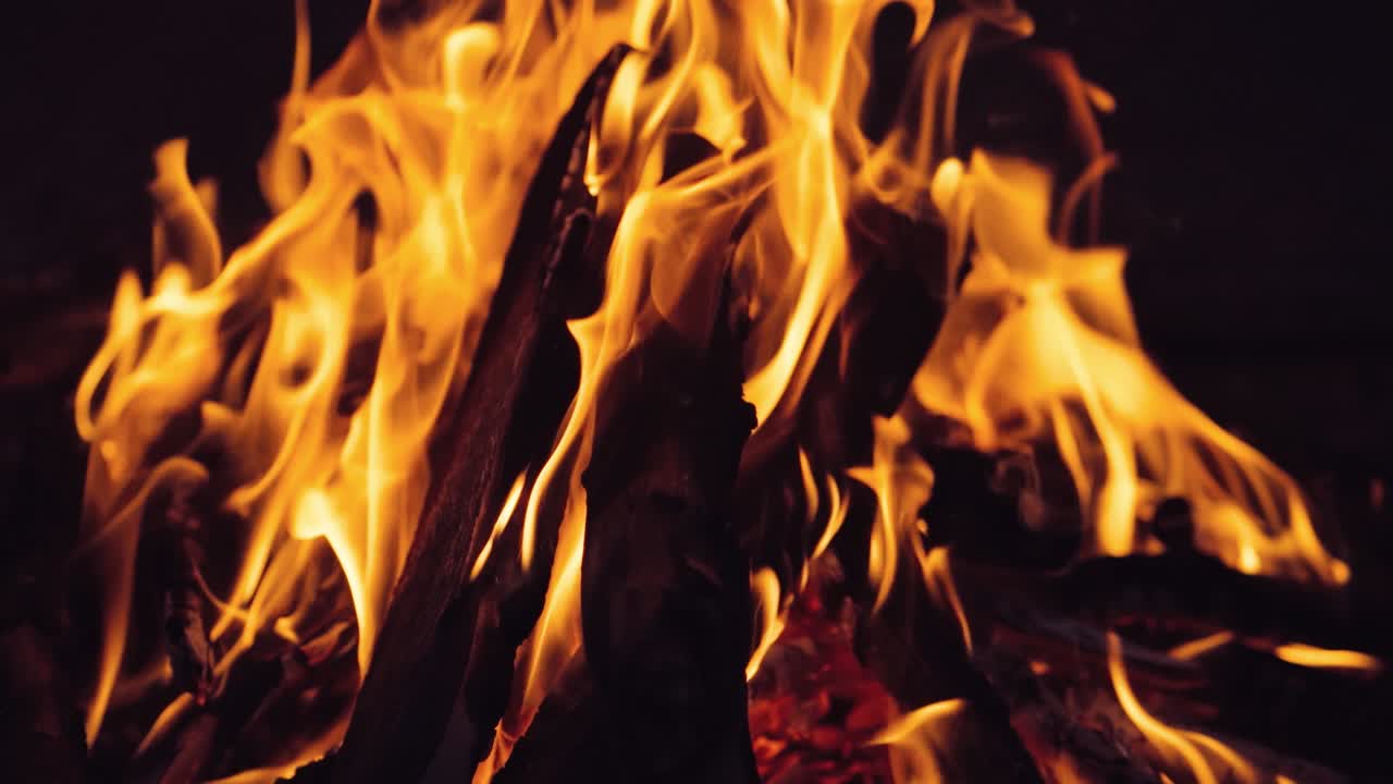 Bonfire in the night forest. Burning Wood. Slow motion
