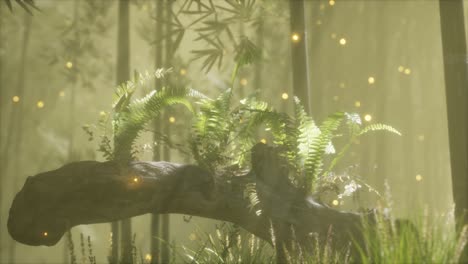 horizontally bending tree trunk with ferns growing, and sunlight shining
