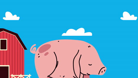 animación de estilo de vida de la granja con establo y cerdo