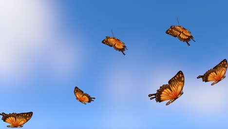 orange butterflies gracefully flying against a blue sky