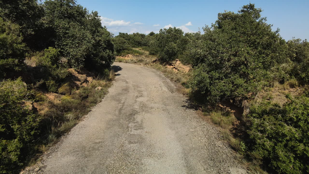 vista aérea siguiendo el camino entre los árboles para finalmente elevarse y descubrir qué hay detrás de los árboles