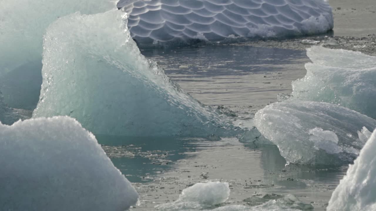 A serene close-up view of large, sculpted ice fragments and smaller pieces, calved from a glacier, floating in the tranquil, cold waters of Iceland's Jökulsárlón Glacier Lagoon