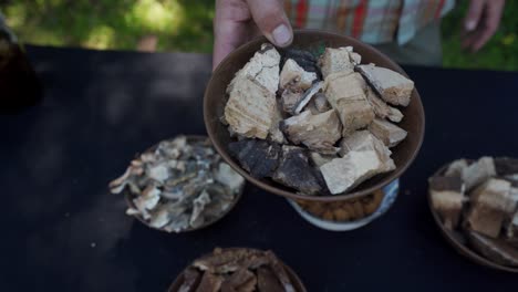 Rotgürtel-Polyporen-Chuncks,-Bereit-Zur-Herstellung-Von-Dual-Extrakt-Tinktur