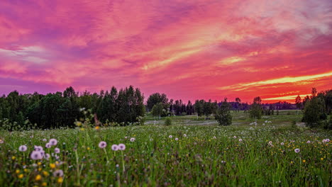 Tiro-De-Lapso-De-Tiempo-De-Nubes-Voladoras-Sobre-Pasto-Cubierto-Durante-La-Puesta-De-Sol-Púrpura-En-El-Cielo